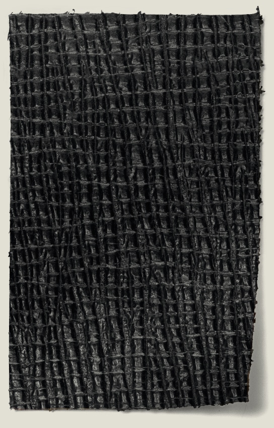Palmelatto leather close up